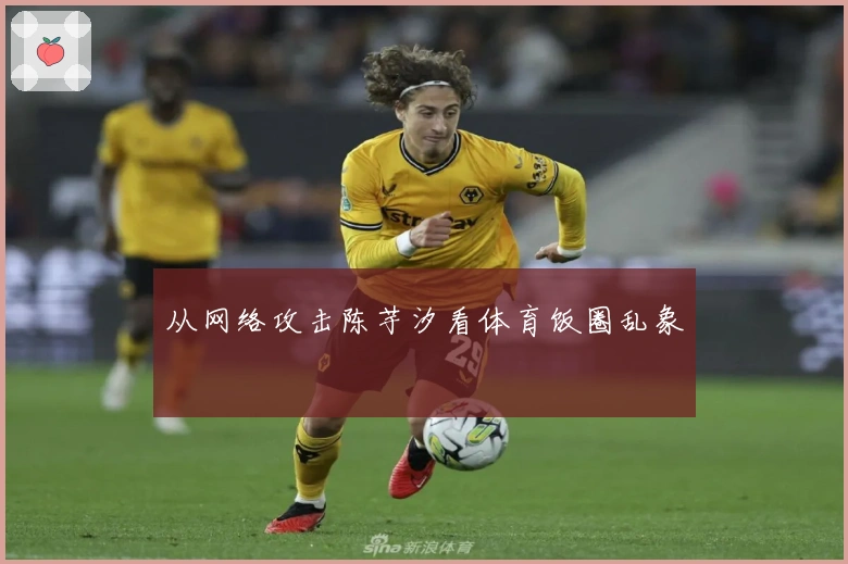 从网络攻击陈芋汐看体育饭圈乱象